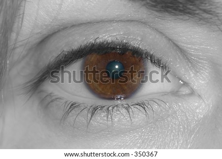 brown  eyes on sepia tone
