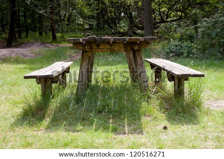 old empty table for picnic in the forest