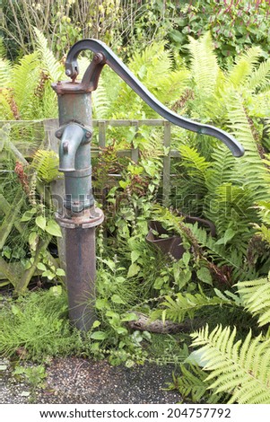 old cast iron water pump in garden between ferns