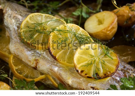 Slices of baked lemon on delicious rainbow trout fillet with dill and vegetables.