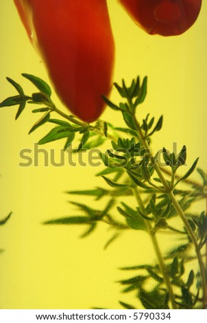 Red chillies and thyme preserved in a bottle of olive oil.chillies.