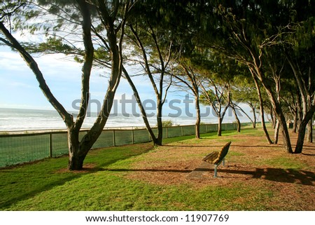 Lonley seat on the beach foreshore under trees in the early morning sun.