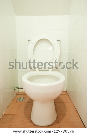 home flush toilet, clean and white