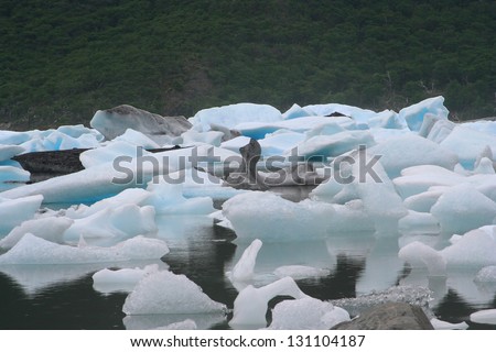 small icebergs floating in argentino lake, a conceptual picture related with climate change