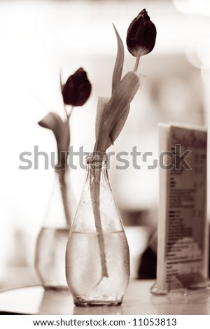 tulips on table in cafe