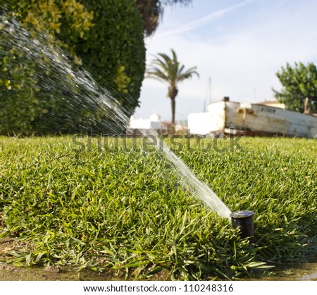 A sprinkler in the green grass which grows all around, all around.