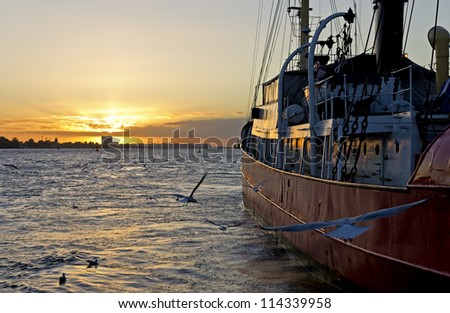 Tugboat moored at sunset in Hamburg harbor and birds flying around.