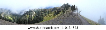 Hurricane Ridge is a mountainous area in Washington\'s Olympic National Park.At an elevation of about 5,200 feet (1,585 m), Hurricane Ridge is a year-round destination.