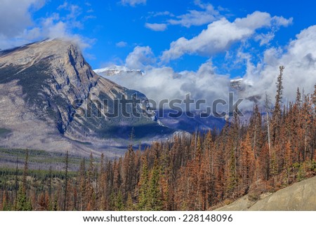 The Canadian Rockies have numerous high peaks and ranges. The Canadian Rockies are composed of shale and limestone.