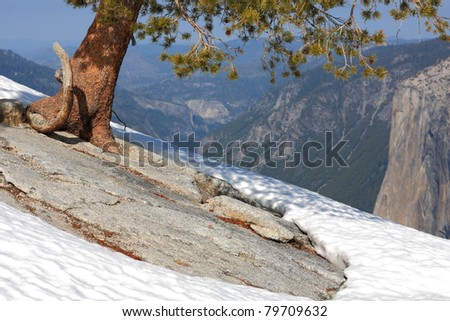 Yosemite National Park, State of California , USA .