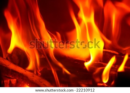burn; fire; fireplace; fireside; firewood; house; heating; start; warm; warming; winter; wood