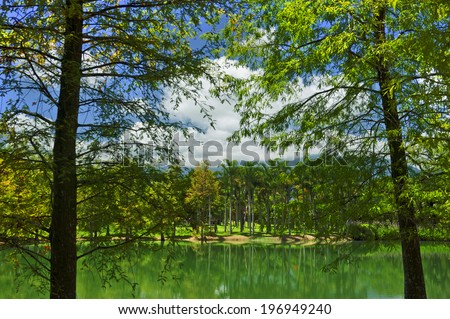 A lake reflecting the tall trees surrounding it.