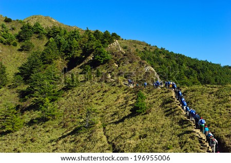 A lot of people walk single file up a steep tree covered hill.