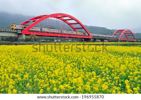 A train on a bridge over a field of flowers.