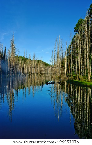 Mostly barren trees lining a smooth body of water.