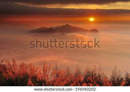 The sun setting behind a valley filled with fog.