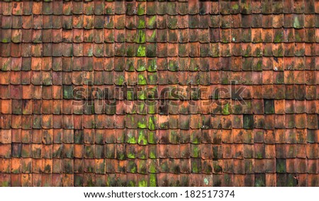 Red tile. Detail of the roof of the Netherlands.