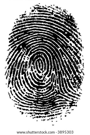 stock vector : Black and White Vector Fingerprint - Very accurately scanned 
