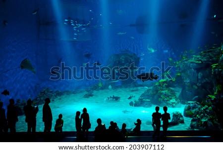 COPENHAGEN, DENMARK - JULY 1: Huge aquarium in Blue Planet National Aquarium Denmark on July 1, 2014 in Copenhagen