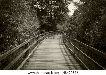 Along forest trail is a wooden foot bridge