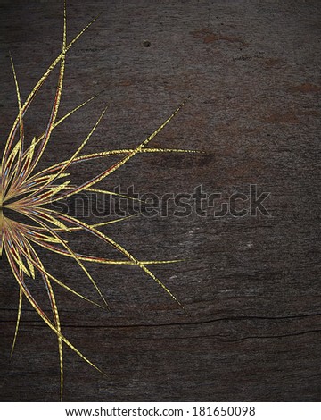 Wooden abstract background with golden lines (flower). Design template. Design site