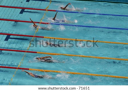 Swimming, 2004 Olympics