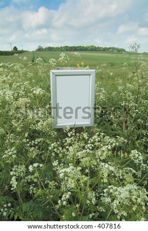 Empty silver picture frame among wildflowers at edge of field with blank area to add copy or picture.