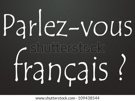 YOU SPEAK FRENCH you speak french: