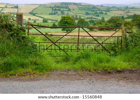Rusty old field gate by a roadside in rural Ireland, with brambles, long grass and wild flowers.  Typical scene  of fields and meadows in the background.