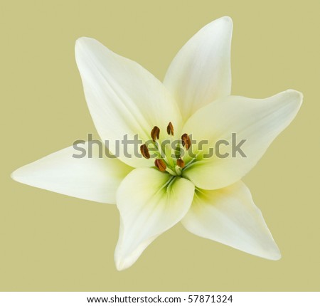 lilly singles over 50 Meet single women over 50 in montana with singles over 50 montana mature dating. lilly singles over 50 Meet single women over 50 in montana with singles over 50 montana mature dating.