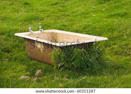 Dirty old bath tub abandoned in a field and recycled as a drinking trough for cattle.