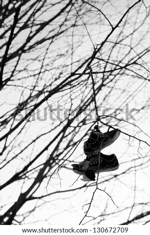 A pair of old shoes hung from a tree