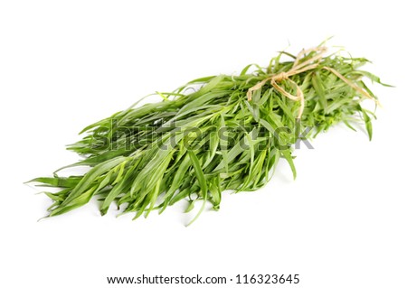 Fresh tarragon herb bunch isolated on white background.