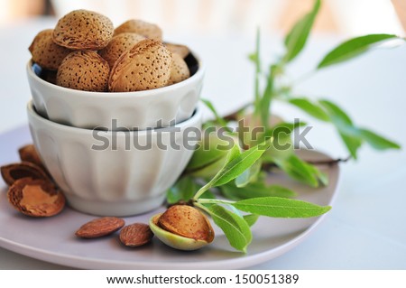 Unpeeled almonds nuts in ceramic bowl with  twigs of almond tree