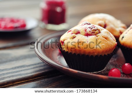 Muffins with cranberry on plate closeup on wooden background. Small shallow DOF