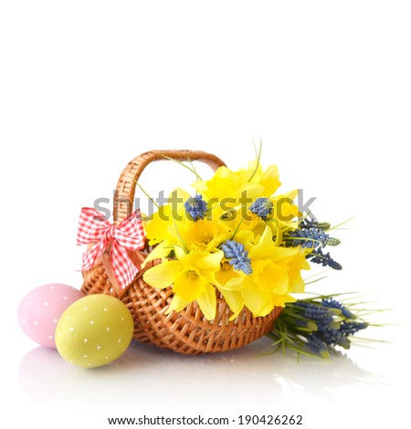 Daffodils in wicker basket and easter eggs isolated on white background