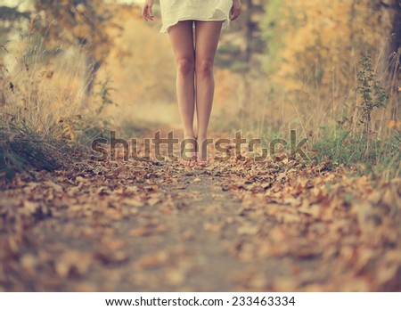 Beautiful female legs in the autumn road