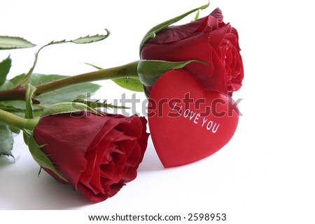 I Love You Red Rose. hair Red rose - I love you