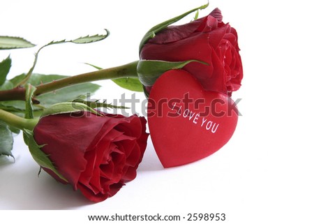 stock photo : red roses and heart with message "I love you" stock photo : red roses and heart with message "I love you"