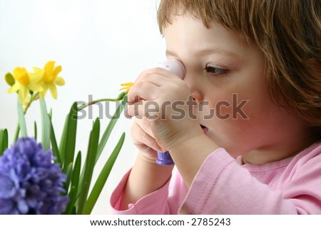 little cute girl curing spring flowers, isolated on white