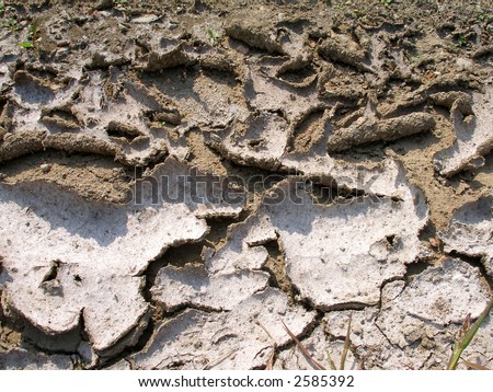 Dry mud - texture