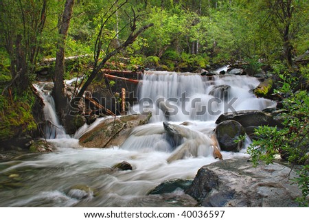 Forest waterfall, Altai, Russia