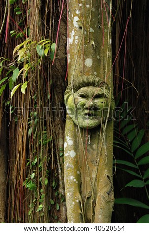 Mask in jungle, Bali, Indonesia