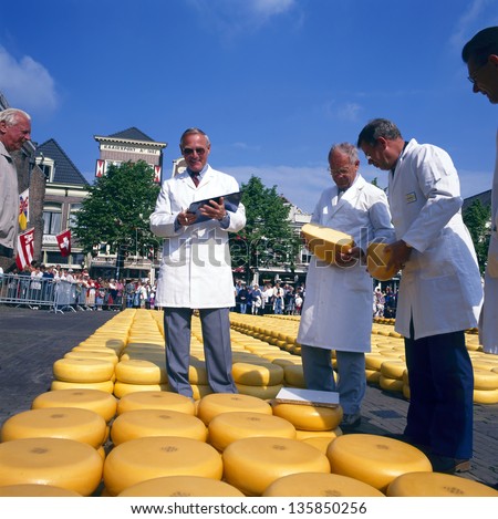 ALKMAAR, THE NETHERLANDS - AUGUST 03: Men check the cheese quality at the cheese market on August 03, 2012 in Alkmaar, Netherlands. Every Friday morning there is a typical cheese market at Alkmaar