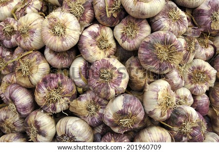 Typical french garlic, with the purple colors that you often can see on french markets