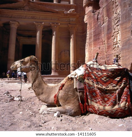 stock photo Camel in front of Treasury Petra Jordan