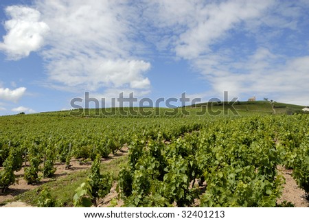 Beautiful Vineyard Landscape near Fleurie in the middle of the Beaujolais area, department Rhone-Alpes  in France. At the brouilly mountain right is situated a little chapel