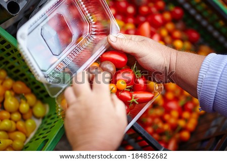 hands packaging fresh tomatoes