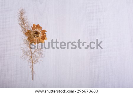 dried flowers or craft flowers on crumpled paper