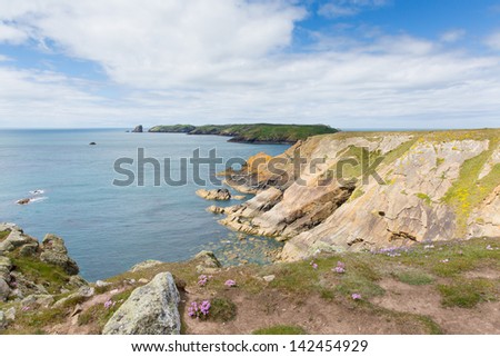Marloes and St Brides bay West Wales coast near Skoma island.  If you miss the ferry to the island these views are found on the walk on the mainland